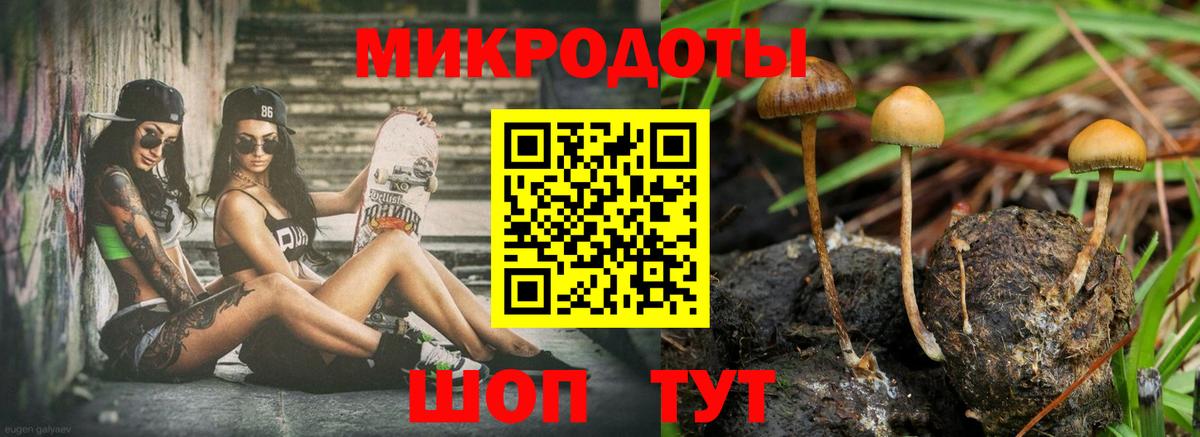 Ишимбай  Галлюциногенные грибы Psilocybe  Вход с VPN 